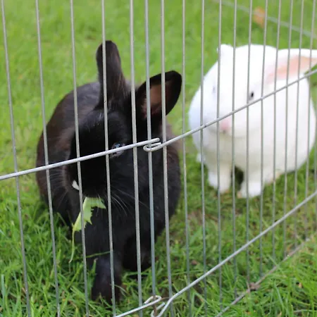 Am Mühlteich Lindenberg (Sonneberg)